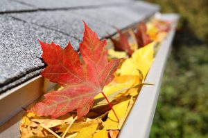 Cleaning Gutters